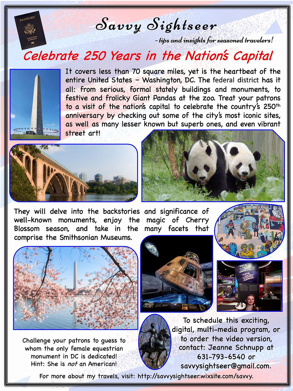 Savvy Sightseer Wash DC Flyer