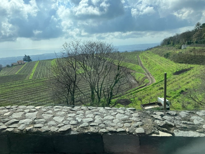 Etna's Rich Vineyards