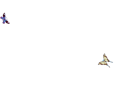 3065393539_1_9_jQJdLwDX.gif