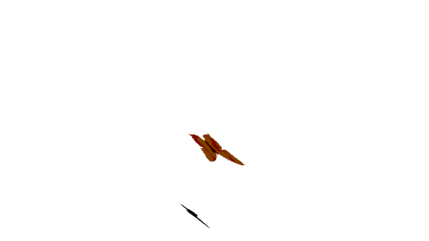 750985be446d0a195033d76eb3d3a115cbf12a78
