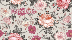 Diapositiva1
