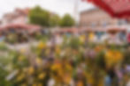 Wochenmarkt Erlangen (c) Melanie Schillinger - Reiseblog goodmorningworld