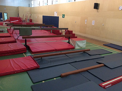 Tumble track for home