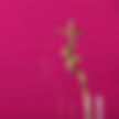 lacobel_fuchsiafuchsia