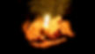 Candlelit Vigil for Peace on Earth