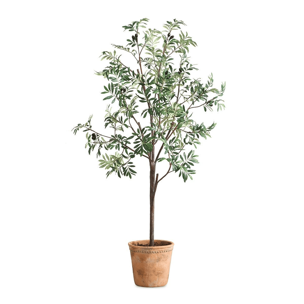 Thumbnail: Olea Potted Olive Tree with Realistic Fruit and Concrete Planter