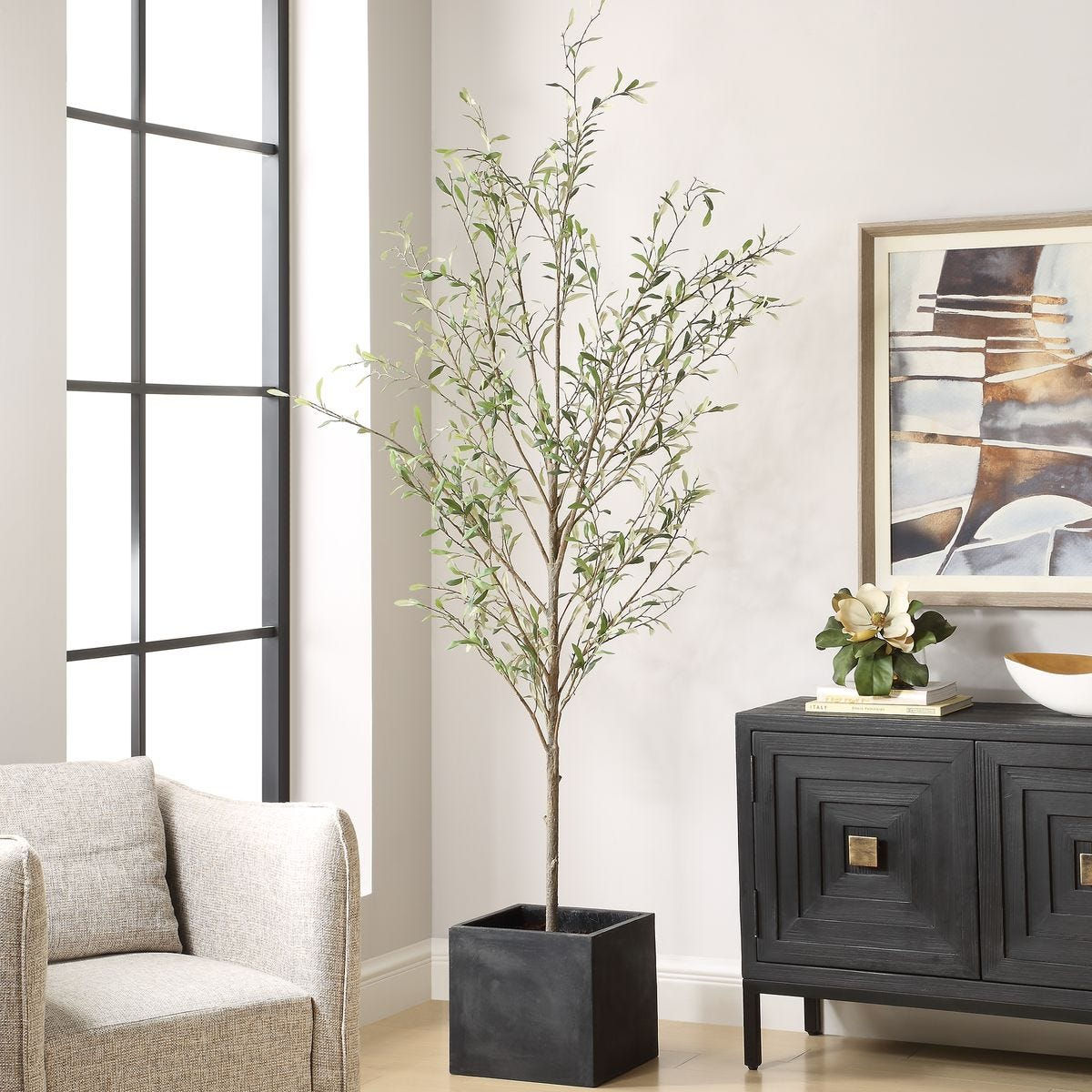Abundance Potted Olive Tree in Aged Charcoal Concrete Cube