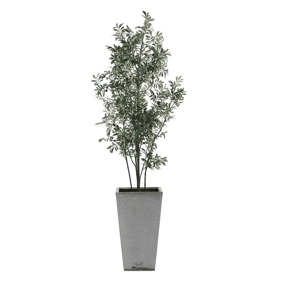 Thumbnail: Sonora Artificial Olive Tree in Textured Gray Concrete Planter