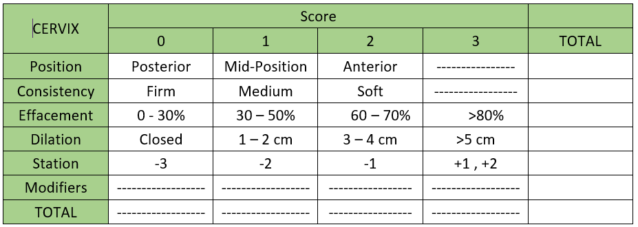 Using the Bishop Score & Natural Induction: What You Need to Know