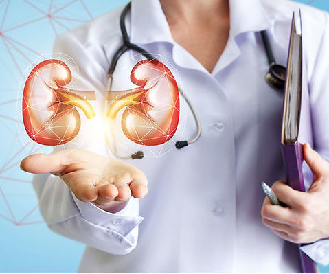 Nephrology (Kidney)