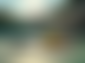 Top Long Island Pickleball Pros in Rockville Centre: Your Go-To Rockville Centre Pickleball Experts!