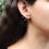Miniatura: Aretes de Picos