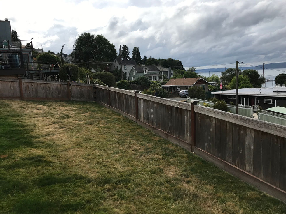 Kastop Backyard Looking North Before Construction