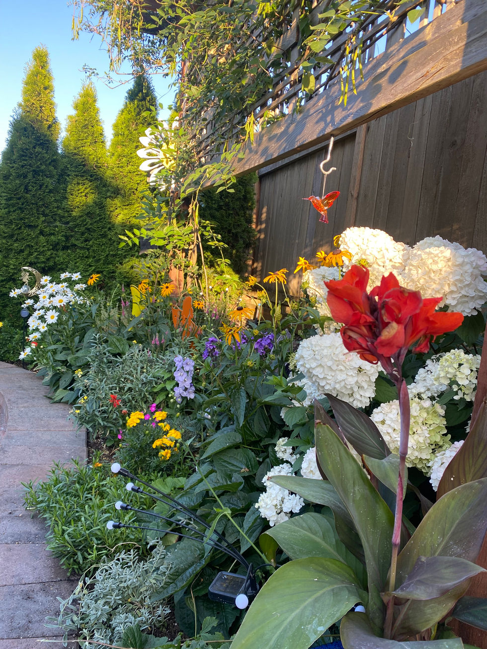 Perennial Border Backyard Oasis
