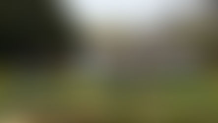 トウキョウサンショウウオ生息状況調査2026