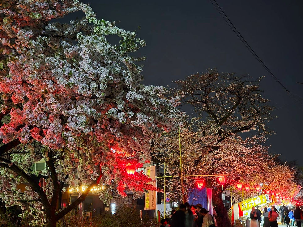 桜のある風景2026⑩