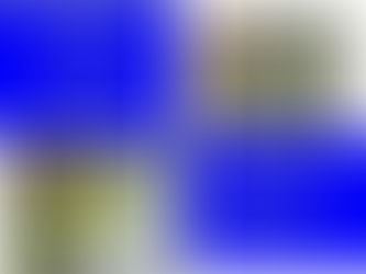 両生類自然史フォーラム