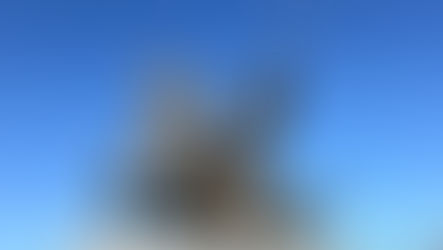 馬にまつわる物語④