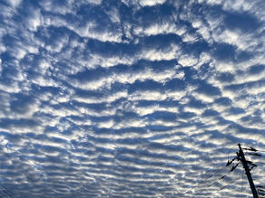 初秋の風景・彼岸花
