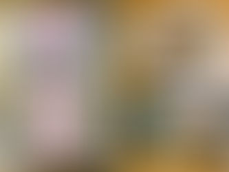美味しいもの見聞録⑬