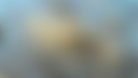 桜のある風景2026④