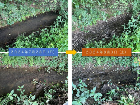 繁殖地の渇水
