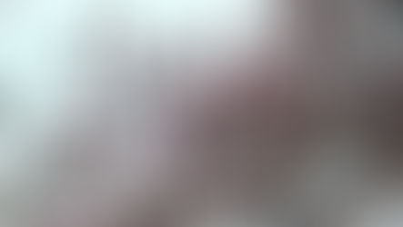 旧足利西高のモクレン