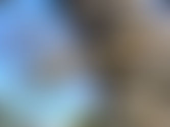 「桜前線」進行中