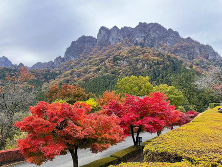 妙義山の紅葉