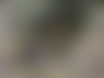 トウキョウサンショウウオ産卵地の整備