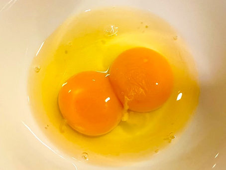 「二黄卵」はラッキー？