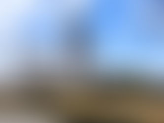 ギネス認定「牛久大仏」