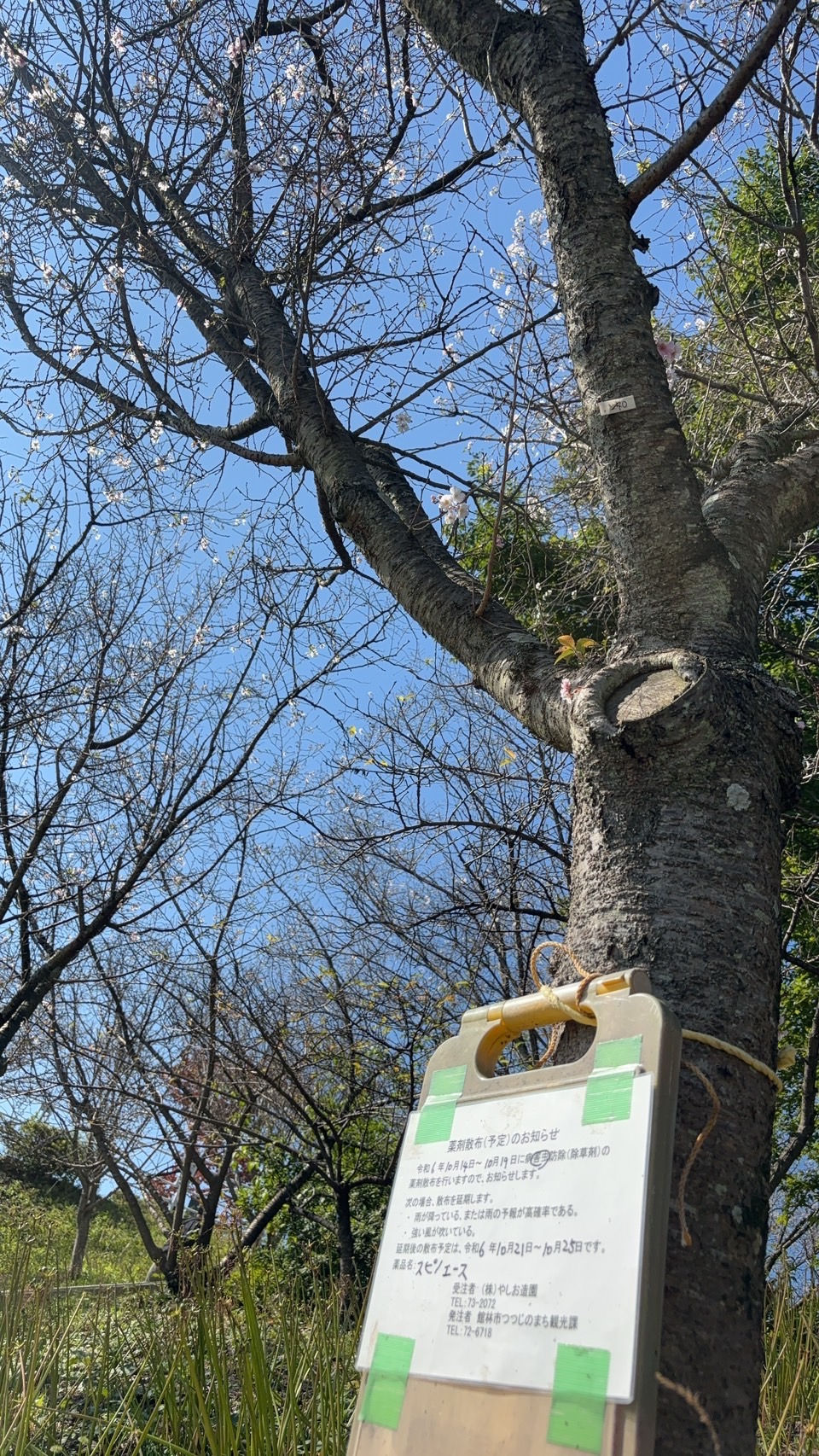 ree