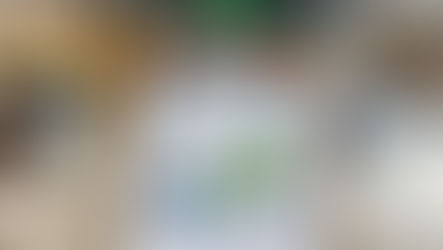 美味しいもの見聞録㊱ PARCOで発酵