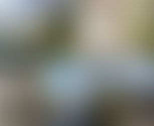 桜のある風景2026⑧