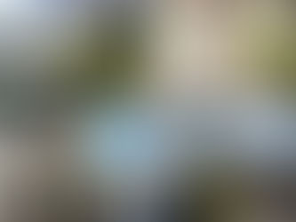 桜のある風景2026⑧