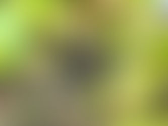 ひっつき虫の季節