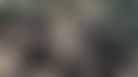 トウキョウサンショウウオ産卵地の整備②