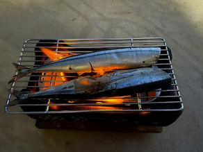 サンマとお月様の記憶