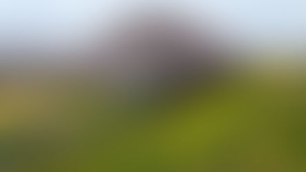 桜のある風景2026⑪