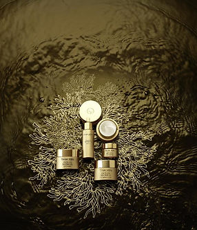 ocean_secrets_produits (1) (1).jpg