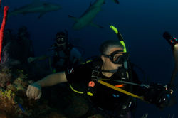 YoBuceo en Jardines II - Ago 2015