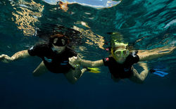 Curso PADI Open Water con YoBuceo