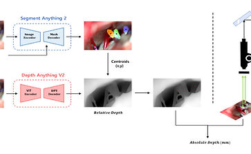 Screenshot 2026-01-06 115954_edited.jpg