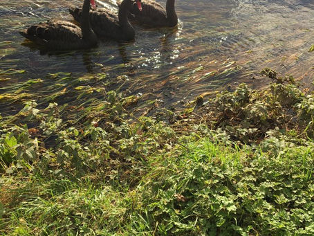 Get Winter Ready - Time for those shots!