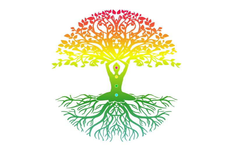 What is the Tree of Life?