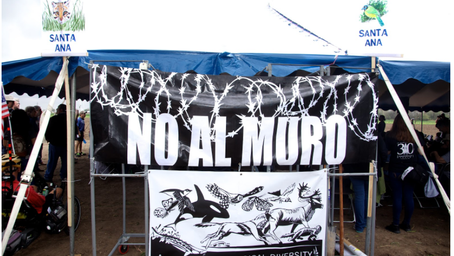 Protegiendo Nuestra Tierra: Communities stand against the border wall