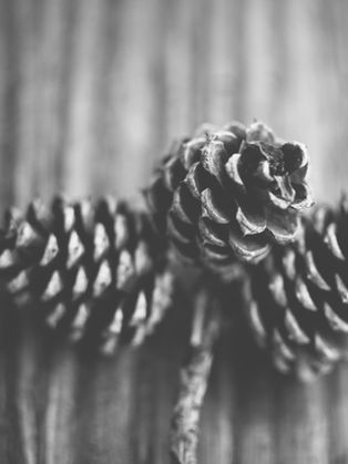 What's Preposterous Now?