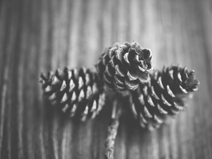 FIR