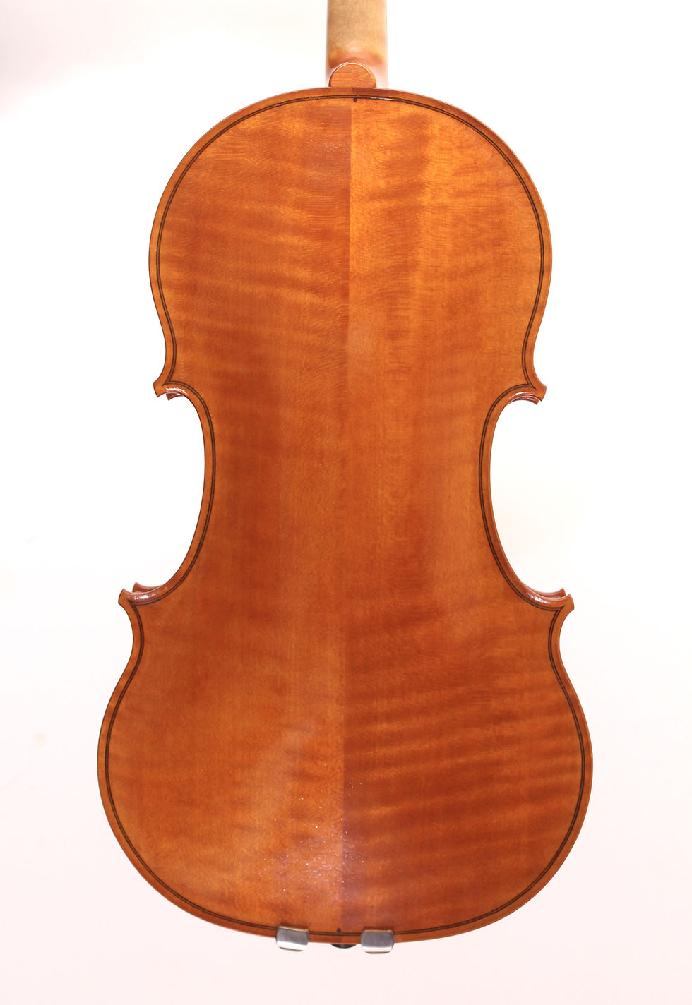 Pikkukuva: copy of Viola by Andrea Fiorini